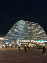 A0207