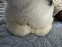 ぽいぽい♪さんプロフィール画像