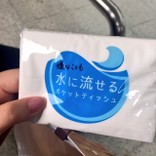 かのちゃんさん