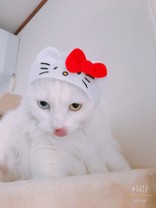めいたろ#
