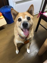 ☆かななら☆さんプロフィール画像