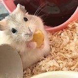 りちゃん(^^)さんプロフィール画像