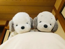 tonychanさんプロフィール画像