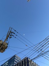 teeeamkさんプロフィール画像