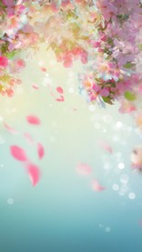 桜色のひまわり