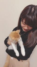 ぴこてぃん