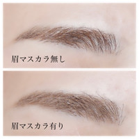 エテュセ アイエディション ブロウマスカラ の商品情報 美容 化粧品情報はアットコスメ エテュセ アイエディション ブロウマスカラ の商品情報 美容 化粧品情報はアットコスメ