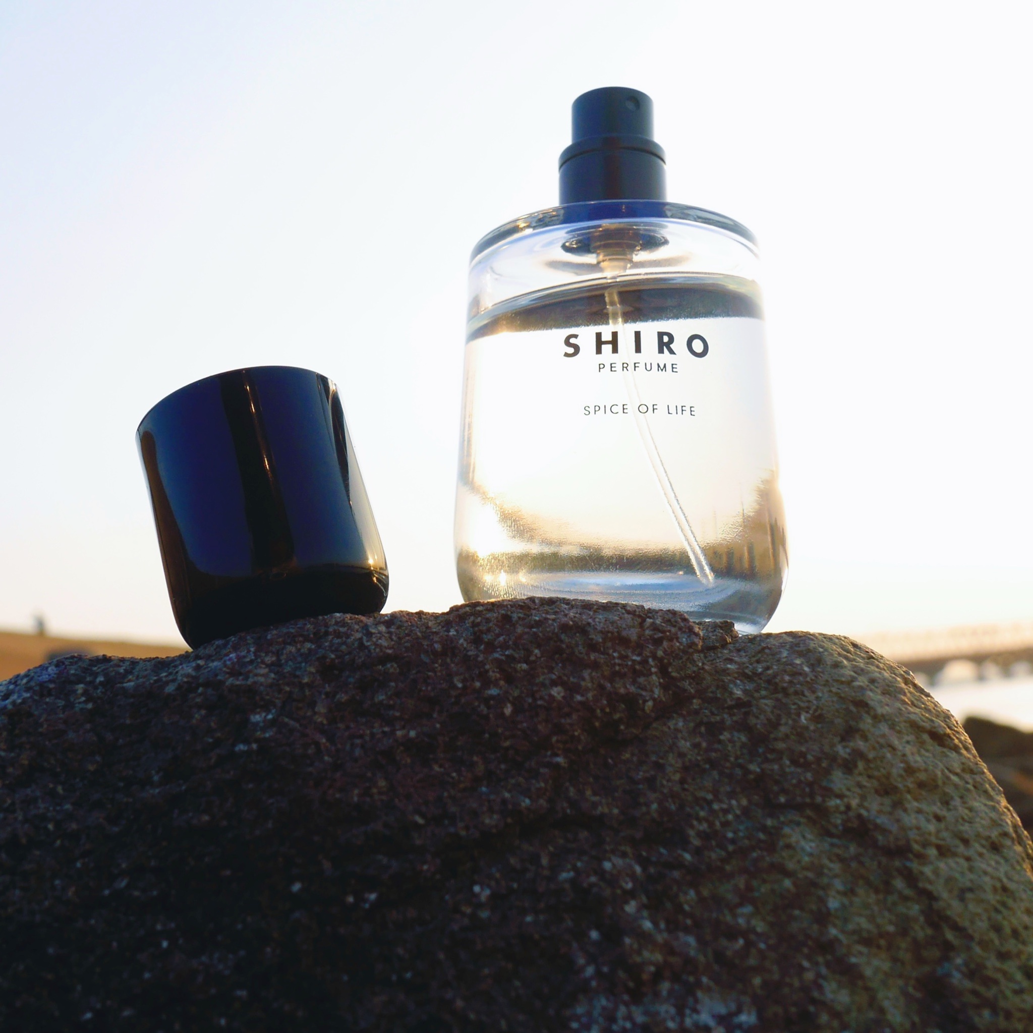 SHIRO / SHIRO PERFUME SPICE OF LIFEの公式商品情報｜美容・化粧品 