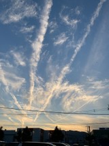ぽーにょ★彡さんプロフィール画像