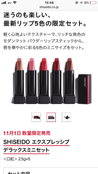 SHISEIDO / エクスプレッシブ デラックスミニセットの公式商品情報