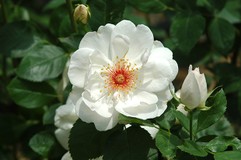 きんtarouさんプロフィール画像