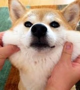 オネスト♪さんプロフィール画像