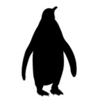 宇宙ペンギンさんプロフィール画像