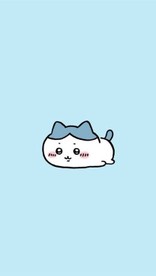 ♪もぴぴ♪