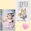 ペット、または動物の『好きな仕草』を教えてください☆