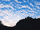 最近の秋空。『好きな雲』について