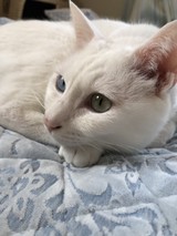 福太郎･☆ﾟ:*:ﾟさんプロフィール画像