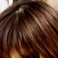 セグレタ 地肌も髪も洗えるマッサージ美容クリームの公式商品情報 美容 化粧品情報はアットコスメ セグレタ 地肌も髪も洗えるマッサージ美容クリームの公式商品情報 美容 化粧品情報はアットコスメ
