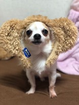 natsuka☆