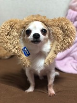 natsuka☆さんプロフィール画像