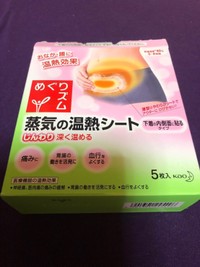 めぐりズム 蒸気の温熱シート 下着の内側面に貼るタイプの公式商品情報 美容 化粧品情報はアットコスメ