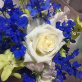 理上栄さんプロフィール画像