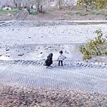 ●おぼっちゃまくん●