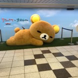 陶冬