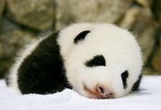 へるめっぽ