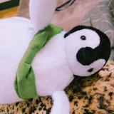 ■□ponchan□■さんプロフィール画像
