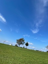 Ree_wさんプロフィール画像