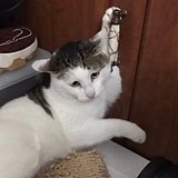 :::シンカ:::さんプロフィール画像