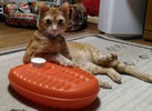 癒し