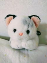 にゃーももさんプロフィール画像