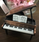 siipiano