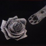 実瑠花さんプロフィール画像