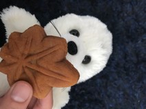 まっちょるのさんプロフィール画像