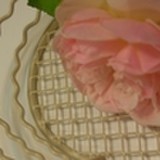 小夜っ子さんプロフィール画像