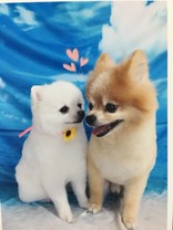 **るなそら**