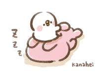 mmnkmsmさんプロフィール画像
