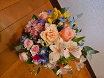 彩星空さんプロフィール画像