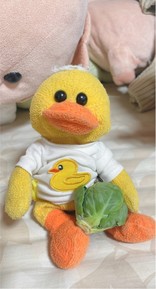 ぴぃぴぃぴよぴよ