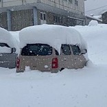 とみおみ