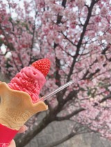 ＊CoCo＊さんプロフィール画像
