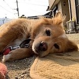 mana19981027