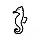 _seahorse_