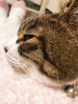 ノリエリコト