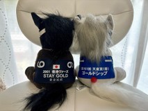いすらぼにたんさんプロフィール画像