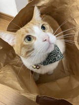 パン耳さんプロフィール画像
