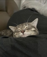 おいるb